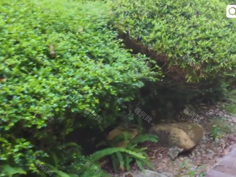 深圳御景水岸一二期小区信息图片21