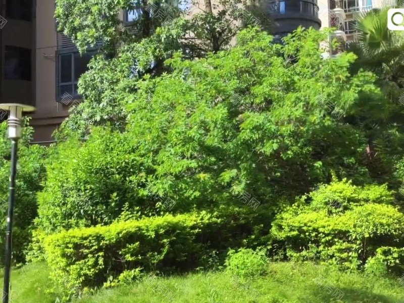 深圳金石雅苑小区信息图片14