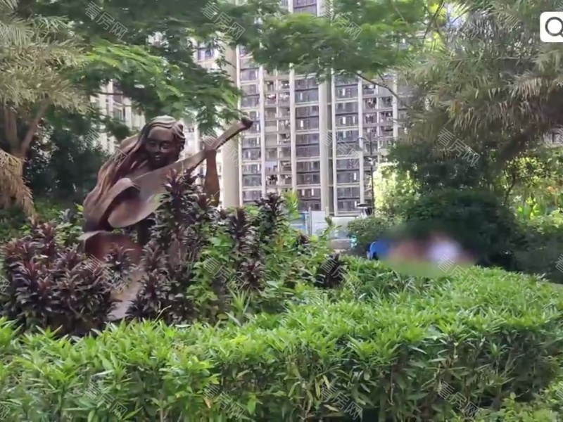 深圳星航华府小区信息图片13