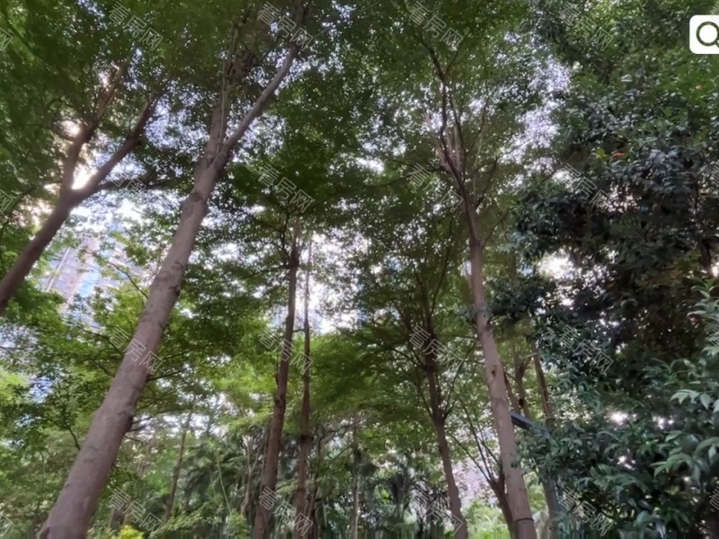 深圳合正汇一城小区信息图片23