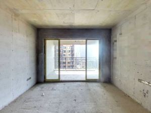 珠江云锦 3室2厅 115.75㎡ 毛坯 珠江云锦 3室2厅 115.75㎡ 毛坯衡阳雁峰区南郊公园二手房图片