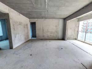 君联名都 4室2厅 147.8㎡ 毛坯郴州北湖区骆仙二手房图片