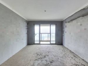 中央香榭 4室2厅 138㎡ 毛坯衡阳蒸湘区华新二手房图片
