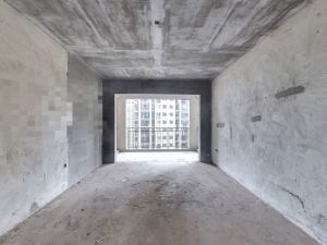 海博星都 3室2厅 138.25㎡ 毛坯_衡阳蒸湘区船山公园二手房图片