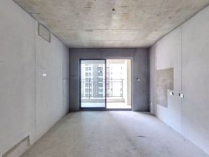 美的金科檀樾 3室2厅 109.9㎡ 毛坯衡阳蒸湘区陆家新区二手房图片