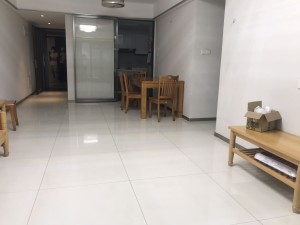 时代名著 千灯湖金融高新区，拎包入住的大三房佛山南海区桂城北租房图片