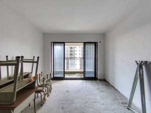 奥园冠军城 毛坯现房，区位优越，出入方便佛山南海区狮山二手房图片