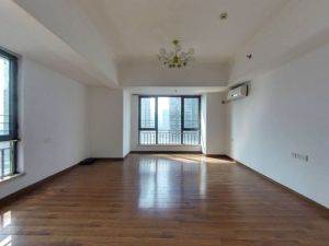 万达广场(南海) 1室1厅 69.14㎡ 满五年佛山南海区千灯湖二手房图片