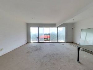 东方新城 4室2厅 170.8㎡ 满五年_惠州惠阳区秋长二手房图片