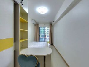 万科金色领域 1室1厅 27.26㎡ 精装佛山南海区千灯湖二手房图片