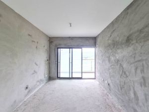 又一城 2室2厅 77.73㎡ 满五唯一深圳龙岗区大运新城二手房图片