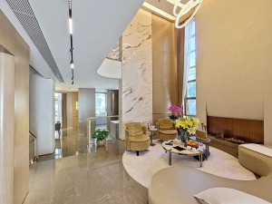 熙园山院 现代轻奢简约，千万豪装双拼别墅深圳龙华区梅林关二手房图片