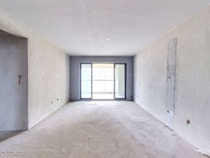 美达华府 3室2厅 117㎡ 毛坯郴州苏仙区城东二手房图片