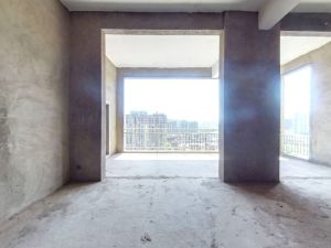 衡府 4室2厅 193㎡ 毛坯衡阳蒸湘区华新二手房图片