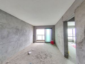 爱me公园 全新毛坯两房出售中山坦洲镇坦洲镇二手房图片