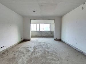 金穗山庄 3室2厅 166㎡ 毛坯郴州北湖区骆仙二手房图片