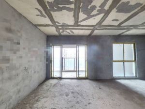 美美世界 4室2厅 140.85㎡ 毛坯衡阳雁峰区南郊公园二手房图片