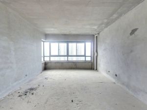 海博星都 4室2厅 142㎡ 毛坯_衡阳蒸湘区船山公园二手房图片