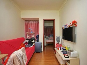 东方都会大厦 罗湖36平精装1房1厅仅售169万深圳罗湖区新秀二手房图片