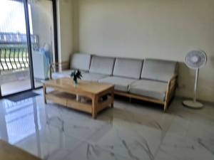 新城之光 3室2厅 89㎡佛山顺德区乐从租房图片