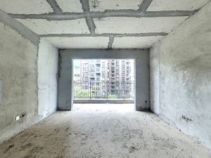 凤凰新城 3室2厅 123㎡ 毛坯郴州苏仙区城东二手房图片