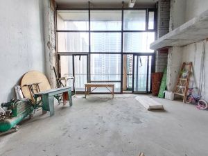 天御 精品大宅，刷卡入户，户型方正，毛坯，实用率高！深圳宝安区宝安中心二手房图片